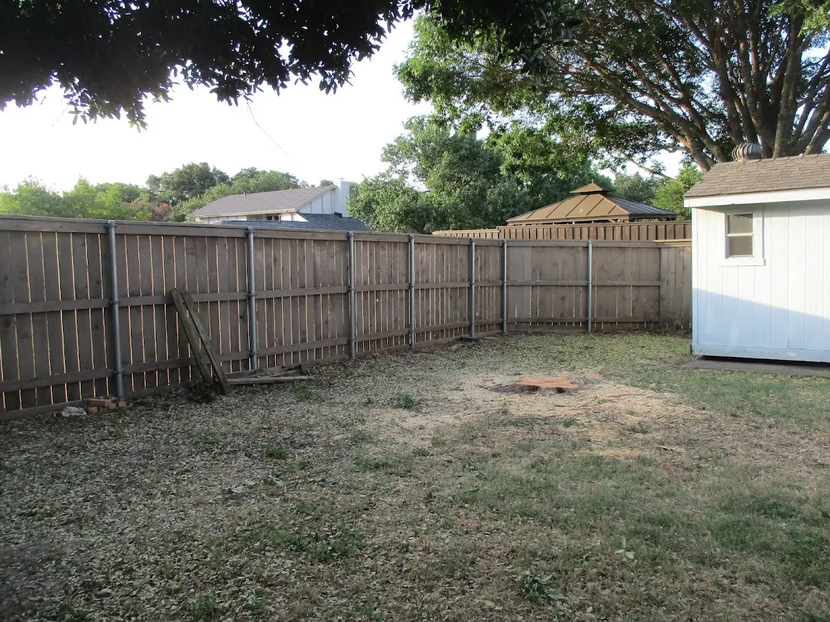Cleared yard after professional tree removal in Stone Ridge